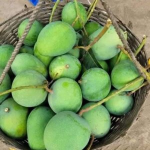 গোবিন্দভোগ আম। ১২কেজি