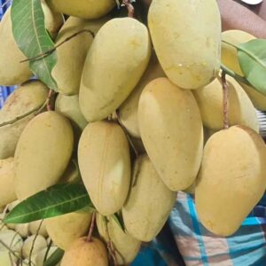 বেগিং কাটিমন আম । ১০ কেজি