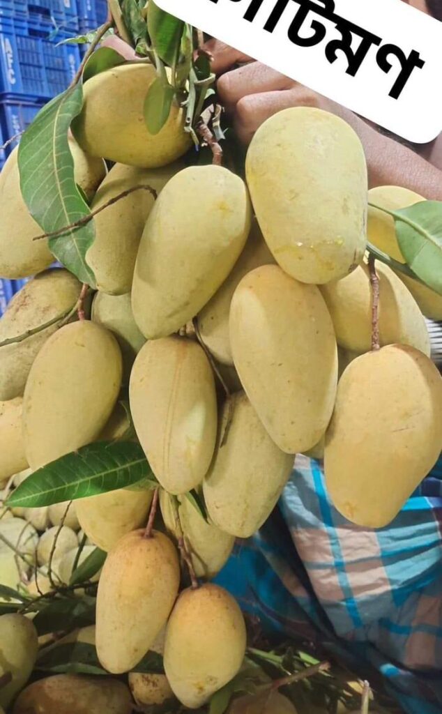 বেগিং কাটিমন আম । ১০ কেজি